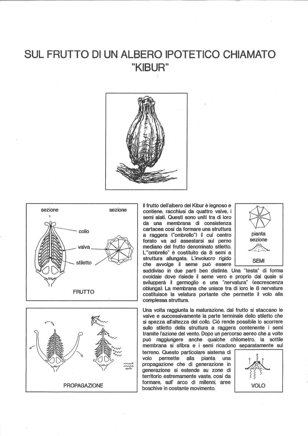 Sul frutto