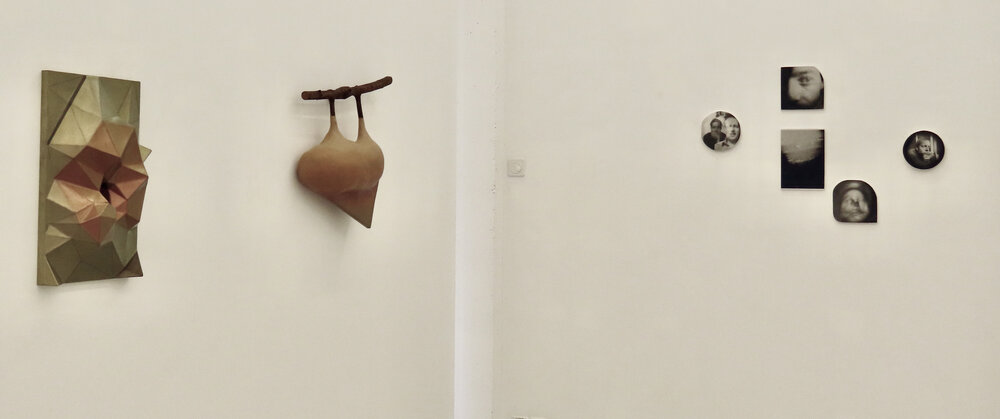 °Rosa °Bradipo °Digging in the dark, Ausstellung Ansicht