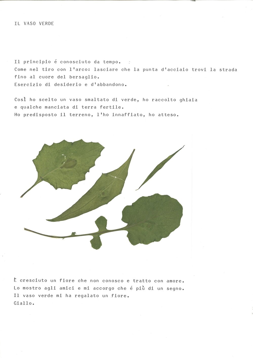 Il vaso verde