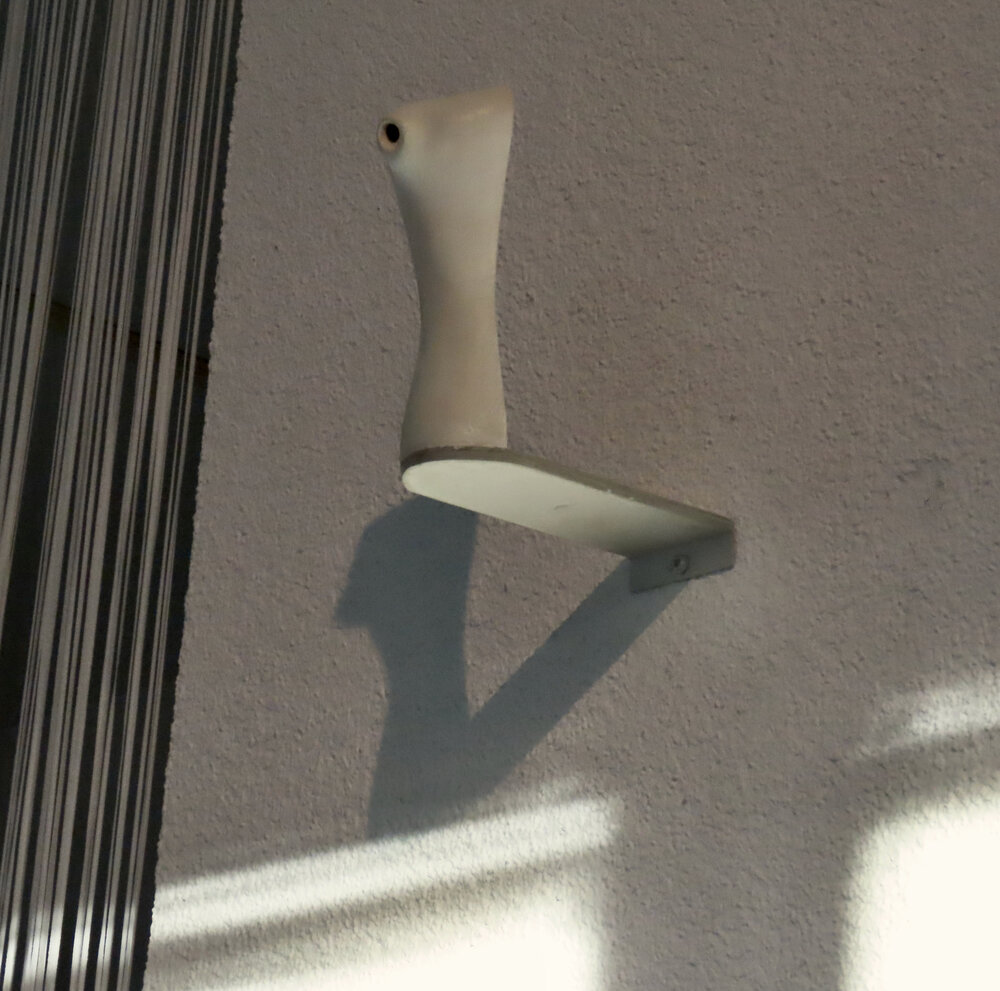 Venus Torso